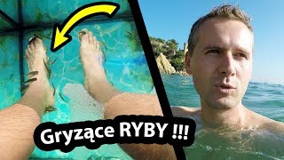 Ryby Gryzą Mnie Po Nogach   Jakie To Uczucie Vlog 204 [upl. by Aiciles]