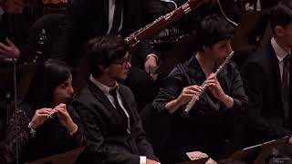 Piccolo solo from Shostakovich Symphony No 5 [upl. by Bajaj]