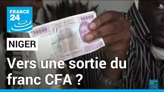 Niger Mali et Burkina Faso  vers une sortie du franc CFA • FRANCE 24 [upl. by Alya45]