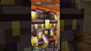 Chest looting ASMR  Minecraft VaultHunters [upl. by Einahpehs]