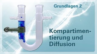 Grundlagen 02 – Kompartimentierung und Diffusion [upl. by Beitris47]