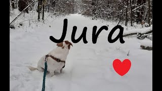 JURA  najlepiej sezon narciarski zacząć u siebie 🙂🐾🐾 [upl. by Cynde]