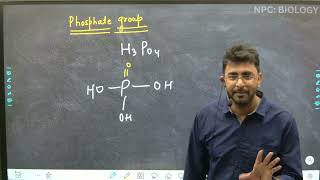 Lec  16  Nucleic Acid  part 2  Nucleotide  Biomolecule class 11 and NEET [upl. by Aivlis684]