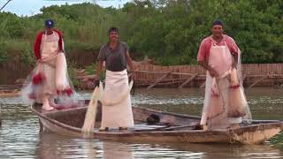 Inician capturas ribereños del Sur [upl. by Adleremse]