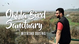 Okhla Bird Sanctuary  Weekend Outing [upl. by Koval205]