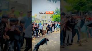 dog res Kolhapur🔥👑 Dog Race  Kolhapur Dog RacingDog Race MaharashtraDog Race kolhapur shorts [upl. by Nerehs]