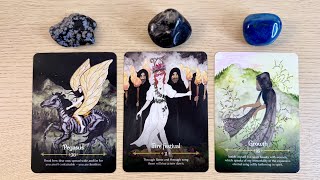 🔮💜What Are Their THOUGHTS About YOU amp The CONNECTION🪄💫 PICK A CARD Timeless Love Tarot Reading [upl. by Ilyssa]