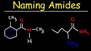 Naming Amides  IUPAC Nomenclature [upl. by Summons]