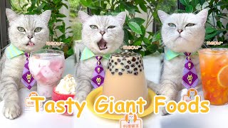 【Chef Cat Cooking】Cats Creative Food Ideas  CandyampDrinks  Chef Cat Cooking TIKTOK 2022 [upl. by Emse]