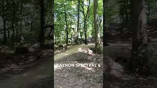 Canyon spectral 6 jump test mtbdirtjump cycling adrenaline mtbcycling cringe bicycle [upl. by Yesnek412]