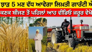 All about Wheat Production Shri Ram 555 Wheat seeds ਕਣਕ ਦਾ 5 ਮਣ ਝਾੜ ਵੱਧ ਆਵੇਗਾ ਲਿਖਤੀ ਗਾਰੰਟੀ … [upl. by Elwin186]