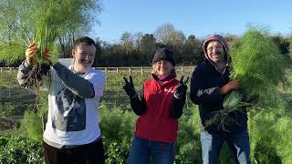 Sodexo UK and Ireland  2022 Volunteering Highlights [upl. by Kincaid]