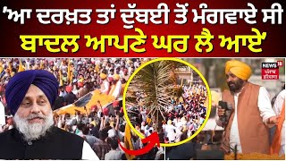 Bhagwant Mann  ਆ ਦਰਖ਼ਤ ਤਾਂ ਇਨਵੈੱਸਟ ਸਮਿਟ ਲਈ ਦੁੱਬਈ ਤੋੋਂ ਮੰਗਵਾਏ ਸੀ ਬਾਦਲਾਂ ਨੇ ਆਪਣੇ ਘਰ ਲਾ ਲਏ N18L [upl. by Munsey]