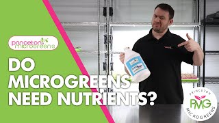 Do Microgreens NEED Nutrients [upl. by Krisha]