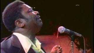 BB King  I Like To Live The Love  Live in Africa 1974 [upl. by Klemm]