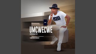 Ngihawukele feat JAIVA ZIMNIKE amp QOQA [upl. by Skrap]