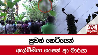 ඇල්බීසියා ගසෙන් ආ මාරයා [upl. by Nena]