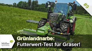 Grünlandnarbe richtig beurteilen Futterwert der Gräser bestimmen Grünland verbessern 916 [upl. by Ahsinel]