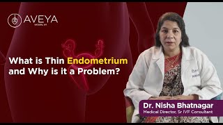 What is Thin Endometrium and Why is it a Problem [upl. by Euqinimod]