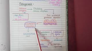 Membranoproliferative Glomerulonephritis  Pathology [upl. by Llenahc]