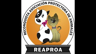 Sorteo Bono Socio Protector  Bingo Reaproa 2024 [upl. by Atsirtal]