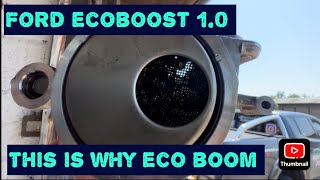 Ford BMax 10 Eco Boost Timing Belt Change Part 2 [upl. by Weathers]