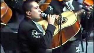 MARIACHI VARGAS DE TECALITLAN EL PASTOR [upl. by Ellened]