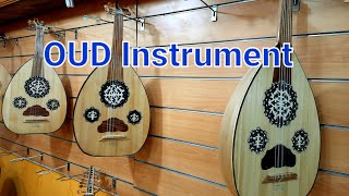 OUD Instrument Origin in middle east Shorts [upl. by Solrak797]