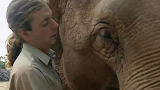 How Smart are Elephants  The Zoo Keepers  BBC Earth [upl. by Eldnar]