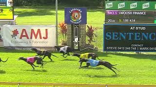 CapalabaWednesday21082024Race4 [upl. by Pagas]