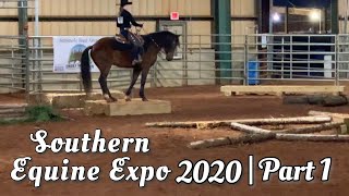 Southern Equine Expo 2020  Part 1 [upl. by Retxab]