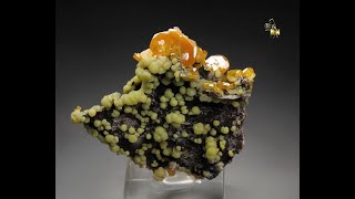 21050  WULFENITE MIMETITE La Morita Mine Mexico [upl. by Astra]