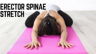 Erector Spinae Stretches for Effective Lower Back Pain Relief [upl. by Panaggio]