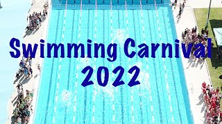 Stannies Swimming Carnival 2022 [upl. by Renee268]