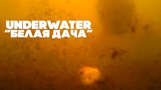 Карпфишинг Подводные съемки команды Carptoday waterwolf underwater camera  Трейлер [upl. by Eitac123]