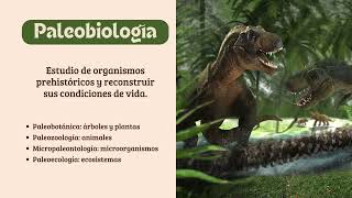 ¿Qué es la paleontología [upl. by Arres59]