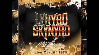 Lynyrd Skynyrd Simple Man Live Cardiff 1975 [upl. by Ahsilrae]