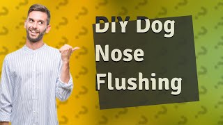 How to flush a dogs nose at home [upl. by Eittel701]