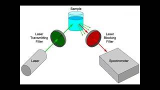 Raman Spectroscopy [upl. by Nohsav129]