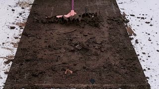 Amazing Restoration of Muddy Carpets  Carpet cleaning is satisfying [upl. by Nenney]