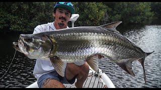 Tarpon in glades PT one [upl. by Einnij]