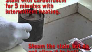 Preparing an AcidFast Stain using the ZiehlNielsen Method  MultiLingual Captions [upl. by Atsev720]