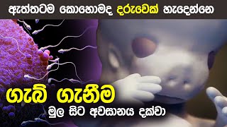 දරුවෙක් බිහිවන ආකාරය පැහැදිලිව😨 How a wonder is born   Pregnancy sinhala  Animation [upl. by Macilroy]