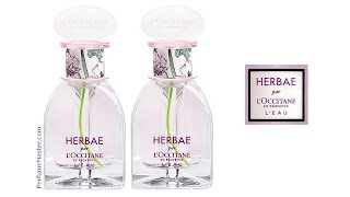 Herbae par LOccitane Leau New Perfume [upl. by Eiuqnimod]