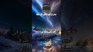 Pyare Nabi ne farmaya jisne bhi safed dadhi wale momin kostatus quran viralvideo 🕋🤲🌹 [upl. by Kciredec]