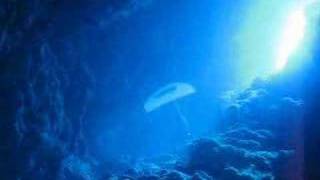 Freediving the Canyon Dahab [upl. by Yecies674]