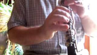 Rare Antique Fernand Chapelain Clarinet C flat Low Pitch [upl. by Erdnaxela472]