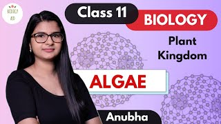 Class 11  Algae Plant Kingdom  NCERT [upl. by Ezarras]