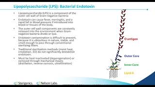 Bacterial Endotoxin Testing History InhibitionEnhancement and Process Control [upl. by Norret]