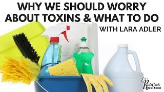 Why We Should Worry About Toxins amp What to Do Lara Adler Interview HPC E19 [upl. by Miharba]